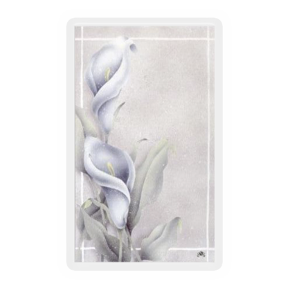 Calla Lily