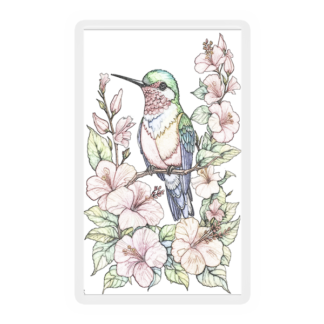 Soft Hummingbird